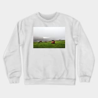 Highland cattle grazing on the misty coast of Islay, Scotland Crewneck Sweatshirt